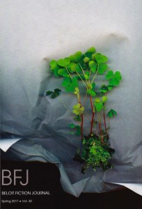 Beloit Fiction Journal Cover